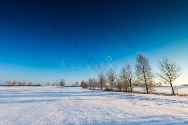 美丽的寒冷的早晨在下雪的冬天的乡村。