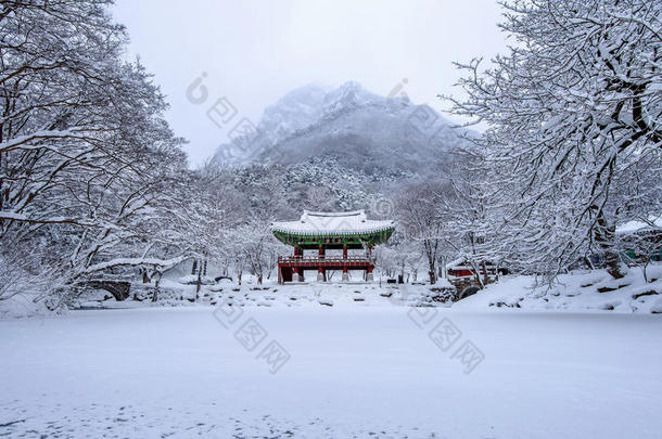 白扬萨寺和落<strong>雪</strong>，<strong>奈</strong>良山在冬天有<strong>雪</strong>。