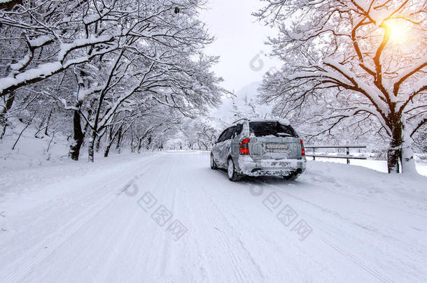 在冬天的森林道路上，汽车和大雪纷纷扬扬。