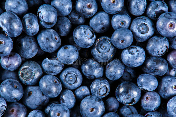特写新鲜有机采摘蓝莓。富含维生素背景，质地