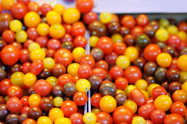 农民农产品市场上五颜六色的樱桃西红柿