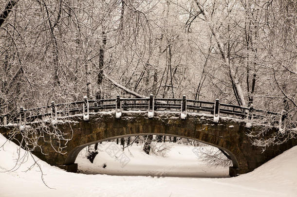 美丽的古老石桥冬林在雪中日落霜天。 树木覆盖着霜和雪。