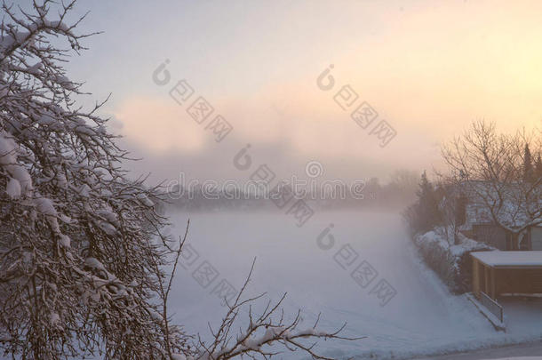 雾蒙蒙的冬天早晨，<strong>雪原</strong>和树枝上有雪