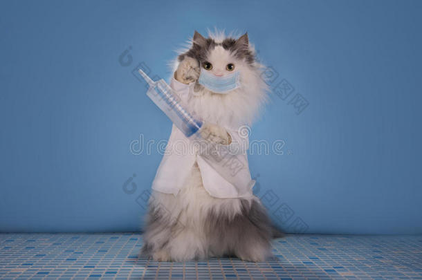穿西装的猫医生告诉如何应对流感的流行