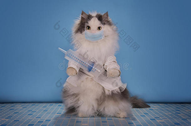 穿西装的猫医生告诉如何应对流感的流行
