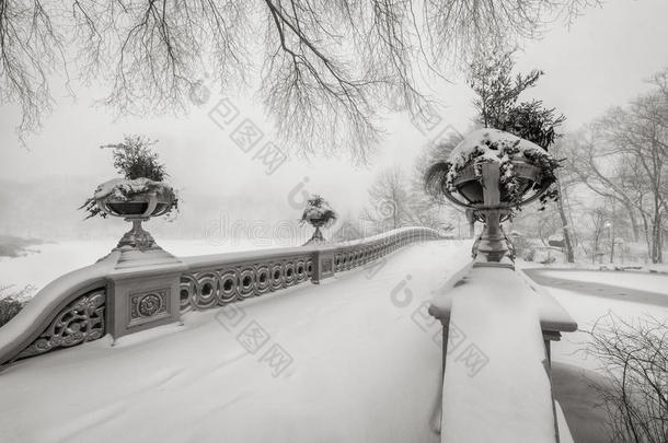 中央公园的暴风雪。 蝴蝶结桥被雪覆盖，纽约