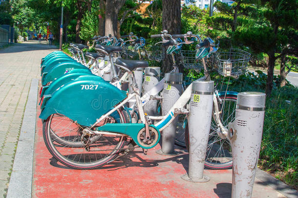 自行车商业城市通勤生态的