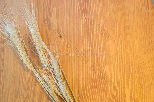 木质大麦米
