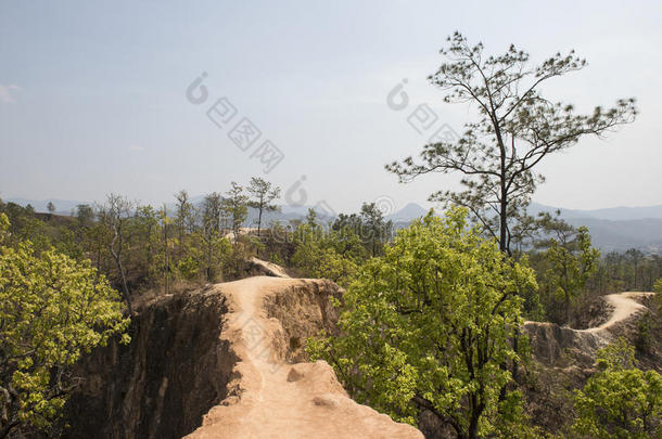 亚洲峡谷危险<strong>探</strong>索森<strong>林</strong>