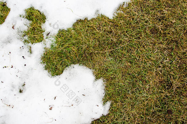 雪中的草。 在冬天的雪中，常春藤草从雪下加热，有一个空白区域作<strong>为</strong>复制空间的象征，作<strong>为</strong>更新的象征