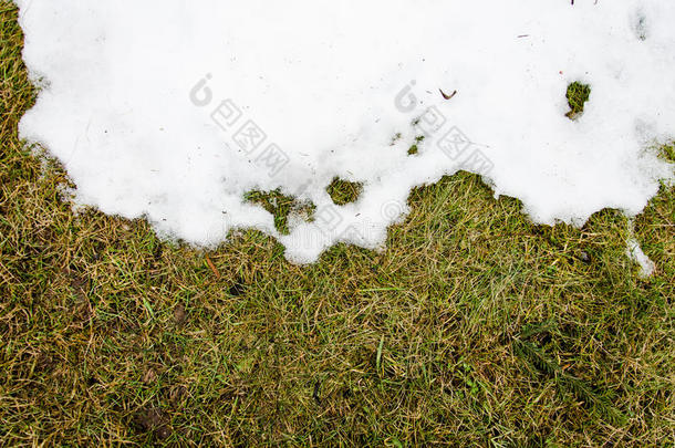 雪中的草。 在冬天的雪中，常春藤草从雪下加热，有一个空白区域作<strong>为</strong>复制空间的象征，作<strong>为</strong>更新的象征