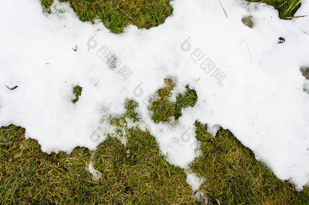 雪中的草。 在冬天的雪中，常春藤草从雪下加热，有一个空白区域作为复制空间的象征，作为更新的象征