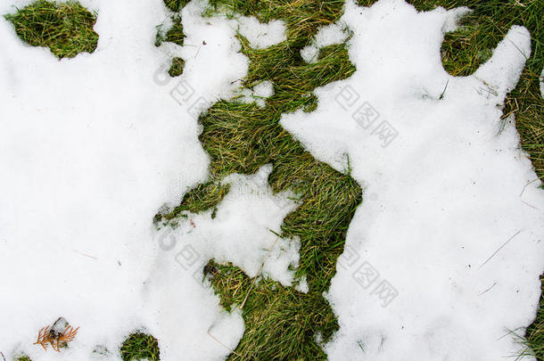 雪中的草。 在冬天的雪中，常春藤草从雪下加热，有一个空白区域<strong>作为</strong>复制空间的象征，<strong>作为</strong>更<strong>新</strong>的象征