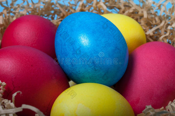复活节彩蛋在蓝色<strong>背景</strong>的巢中