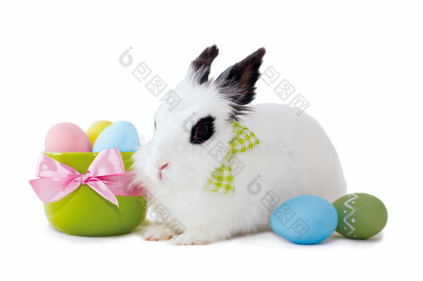 毛茸茸的<strong>白兔</strong>，白色背景上分离出复活节彩蛋。