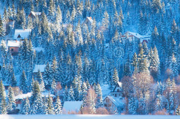 美丽的冬季景观，积雪覆盖的树木，村庄的房子，农村