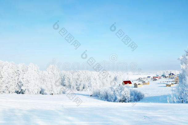 美丽的冬季景观与乡村房屋和雪林