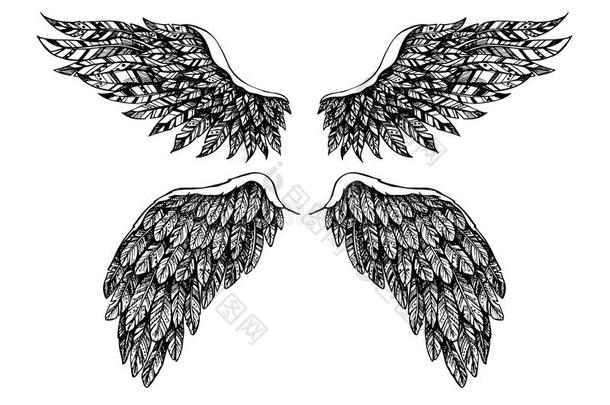 手绘矢量插图-一组翅膀。 <strong>天使</strong>和<strong>恶魔</strong>。