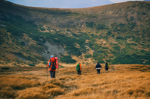 一群徒步旅行者在山上，观赏喀尔巴阡山脉