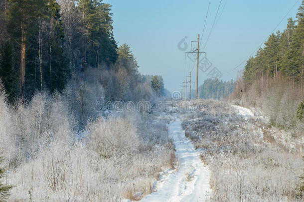 冬季景观中空旷的积雪路面