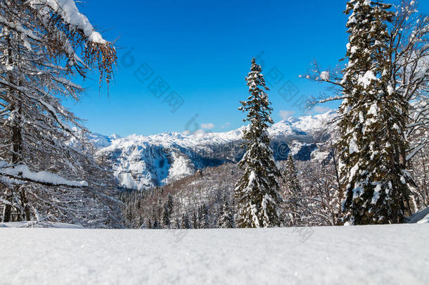 舒适的冬天场景，山上覆盖着白雪
