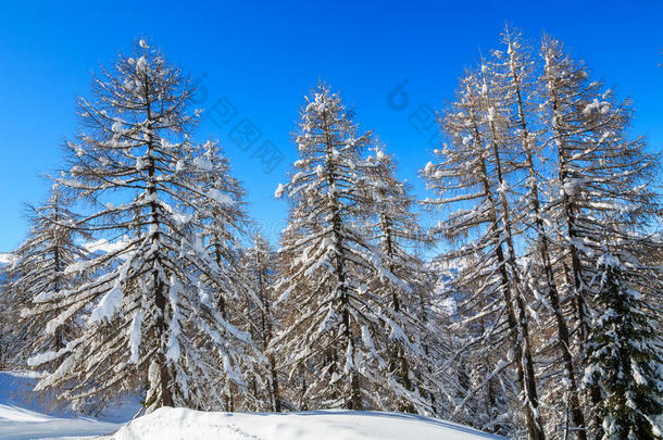 舒适的冬天场景，山上覆盖着白雪