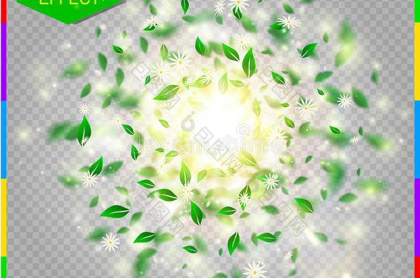 新鲜的绿色春天矢量飞溅白花，绿叶和光的效果