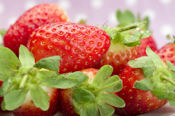 盘子上的新鲜红色成熟草莓。 粉红色虚线背景。
