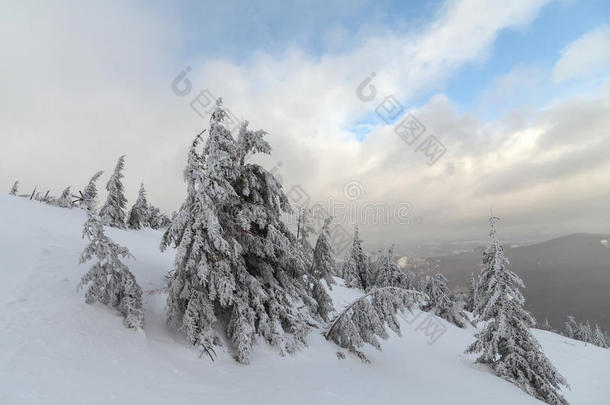 山里的恶劣天气。 冬季景观。 多<strong>云</strong>的<strong>夜晚</strong>有暴风雨<strong>云</strong>。 喀尔巴阡山脉，乌克兰，欧洲
