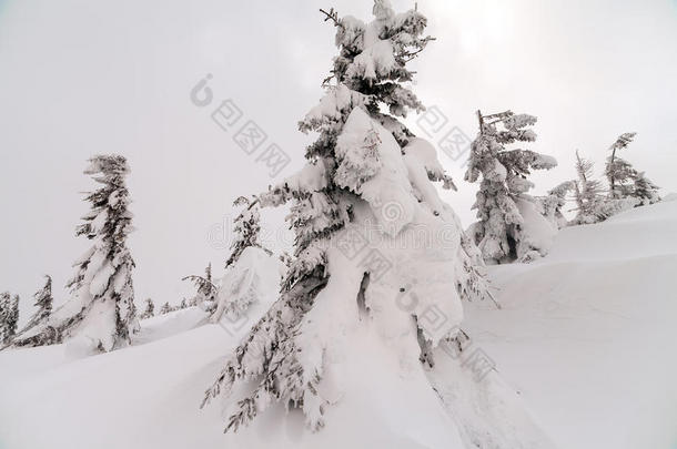 山里的恶劣天气。 冬季景观。 多云的夜晚有暴风雨云。 喀尔巴阡山脉，乌克兰，欧洲