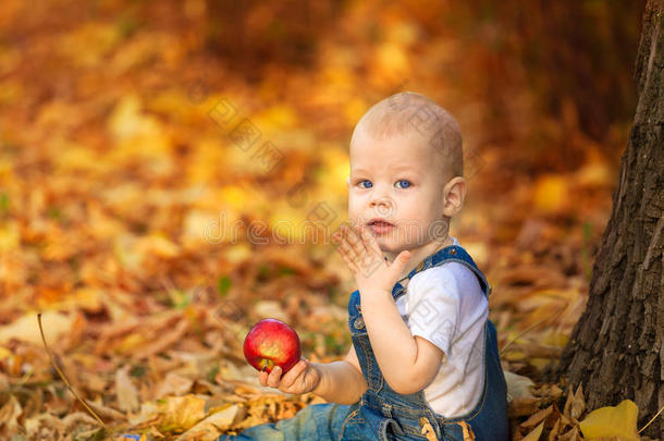 秋天，秋天，女孩，孩子，小，快乐，孩子，大自然，公园，树叶，季节，肖像，黄色，树叶，婴儿，户外，白种人，