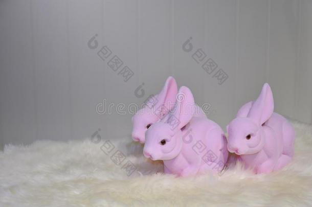 动物兔子可爱的装饰设计