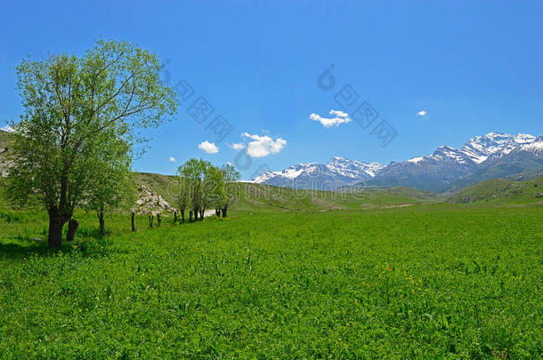 蓝色乡村环境农场领域