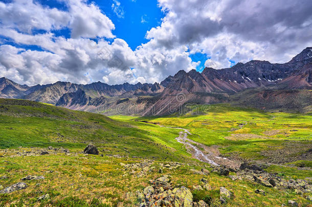 高山山谷中的高山草地