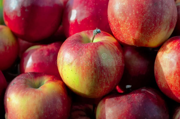 当地水果市场上美味的新鲜多汁苹果