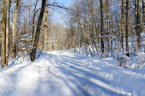 积雪路面