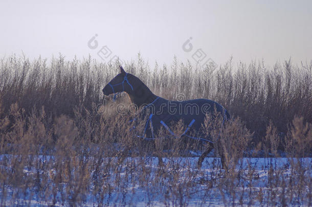 <strong>黑马</strong>穿着马布走在<strong>黑马</strong>身上，穿着马布穿过雪地