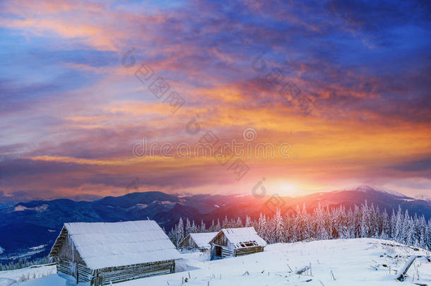 雪山上的小屋，有神奇的冬天的树