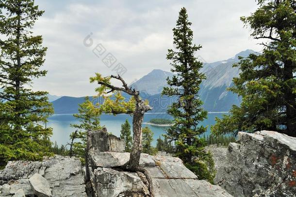加拿大自然-卡纳纳斯基斯，山<strong>湖</strong>