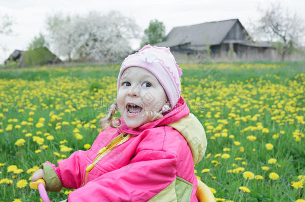 可爱的蹒跚学步的女孩驾驶粉红色和黄色三轮车穿过春天盛开的蒲公英草地