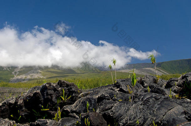 留尼汪岛拉福奈斯的熔岩喷发
