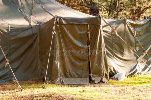 绿色帐篷，野营，野营，树林