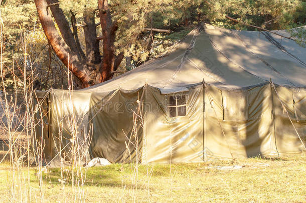 绿色帐篷，野营，野营，树林