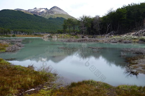 美国安第斯山脉南极洲群岛地区