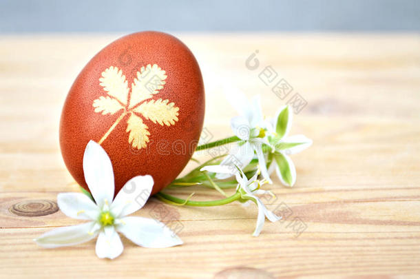复活节卡片，棕色鸡蛋和白色春天的花