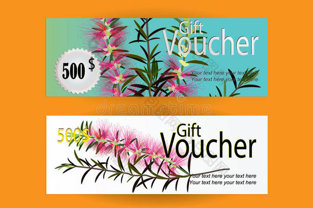礼品券，用于营销推广与瓶刷花或卡里斯蒙花
