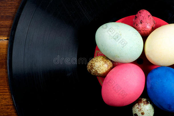 乙烯基上五颜六色的鸡蛋和鹌鹑蛋