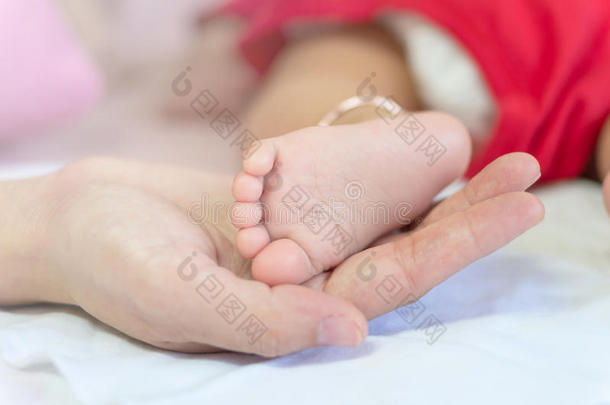 婴儿的脚在母亲的手上