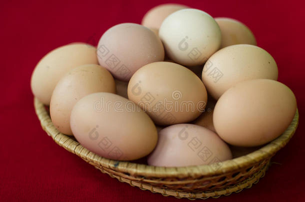 背景篮子颜色鸡蛋农场