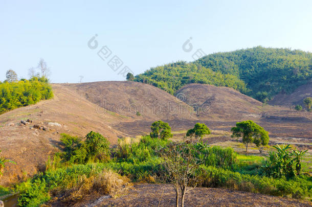 在泰国江瑞山区为农业砍伐森林。